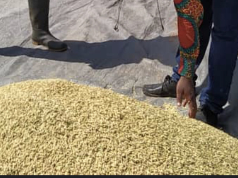 Missions tríps seventh day adventist