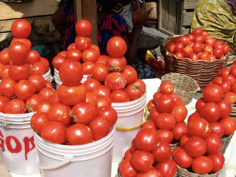 Missions tríps seventh day adventist