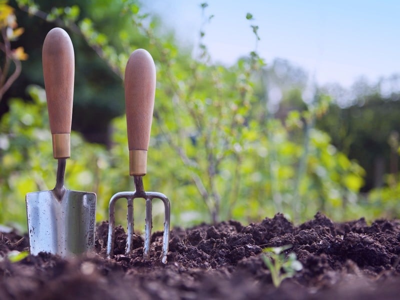 Missions tríps seventh day adventist