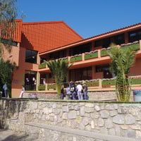 Alt Text