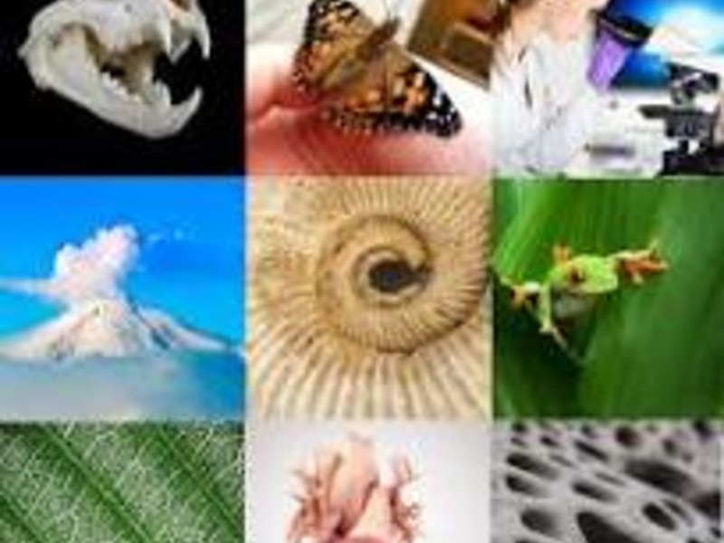 Missions tríps seventh day adventist